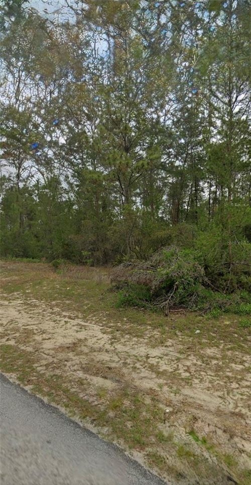 TBD Sw 44th Cir, Ocala, FL, 34474 | Card Image