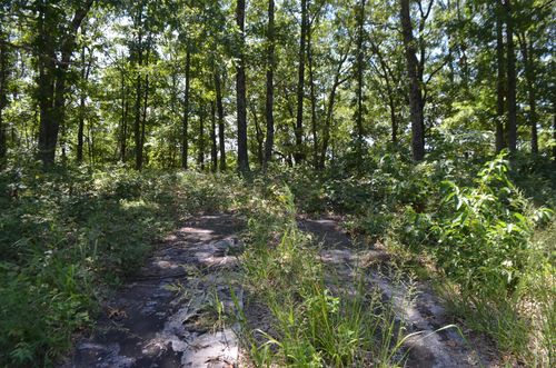 Lot 26-1 High View Circle, Bruner, MO, 65620 | Card Image