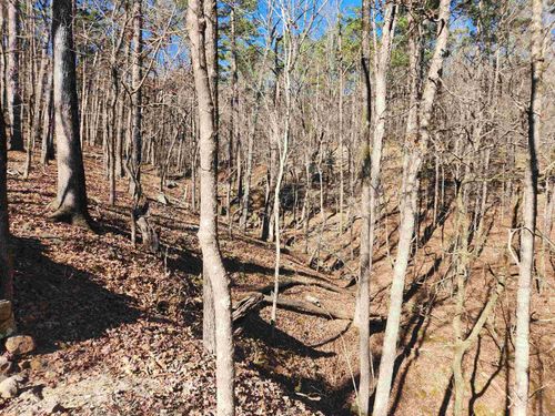 116 Blackcat Trl, Royal, AR, 71968 | Card Image