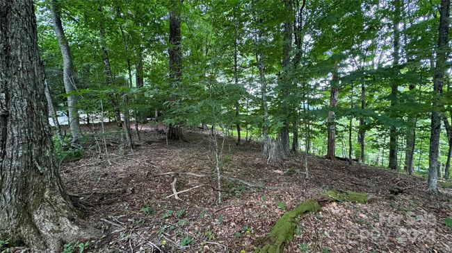 530 El Miner Dr, Home with 0 bedrooms, 0 bathrooms and null parking in Mars Hill NC | Image 5