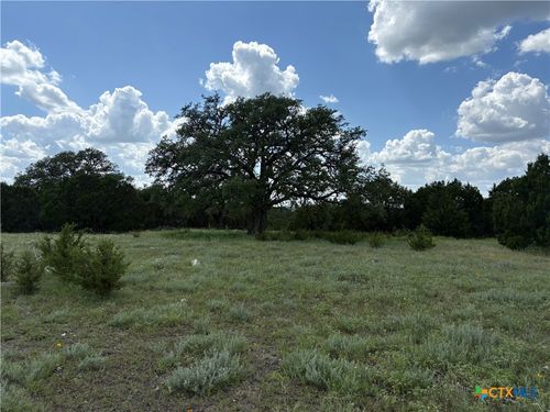 TBD Deer Run Ct, Evant, TX, 76525 | Card Image