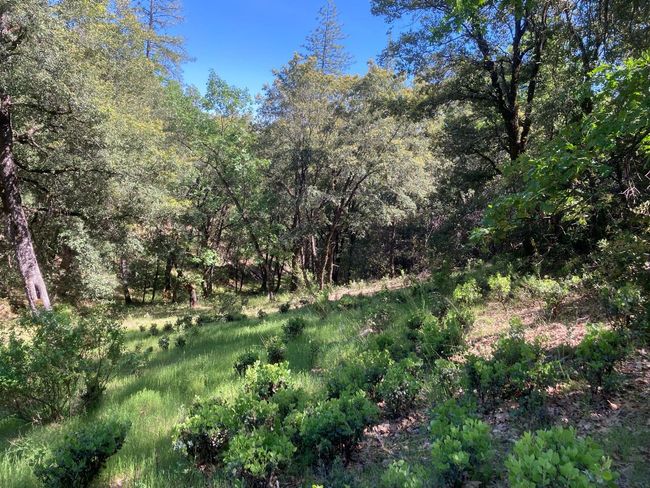 16688 Sonshine Ln, Home with 0 bedrooms, 0 bathrooms and null parking in Sutter Creek CA | Image 56