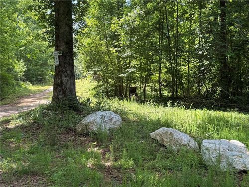 20 ac Ellijay Road, Talking Rock, GA, 30175 | Card Image
