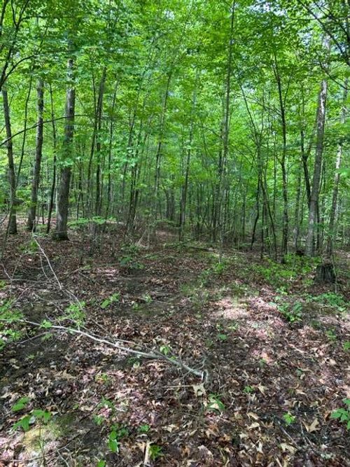 Lot 335 Flat Top View, Wilder, TN, 38589 | Card Image