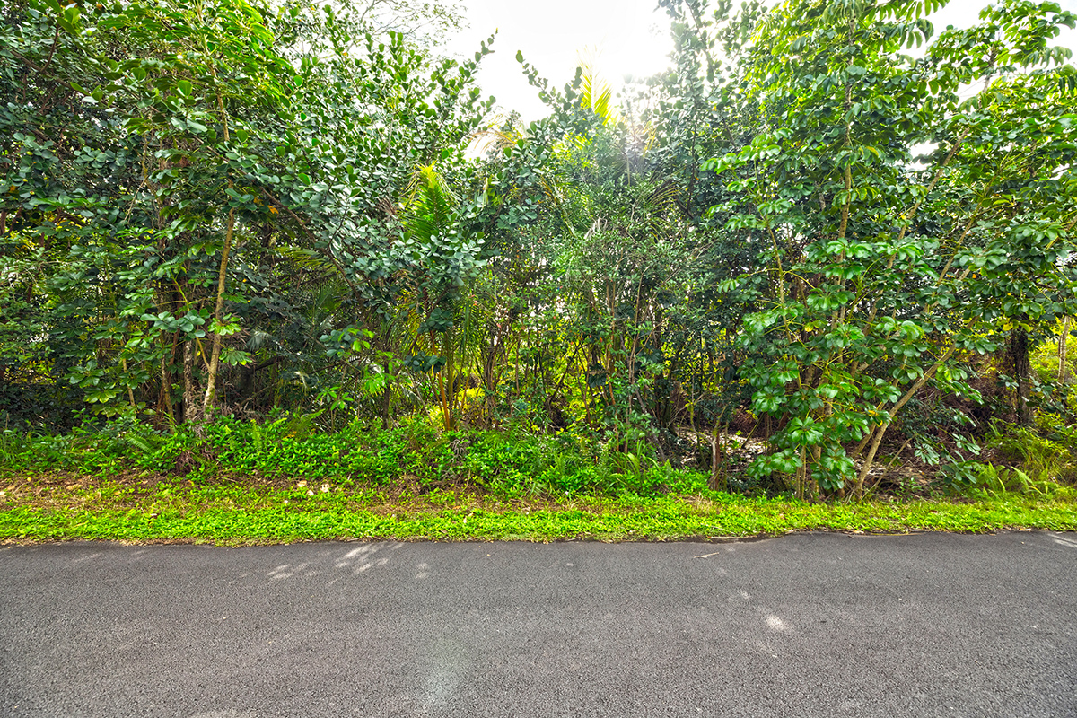Land in Keaau