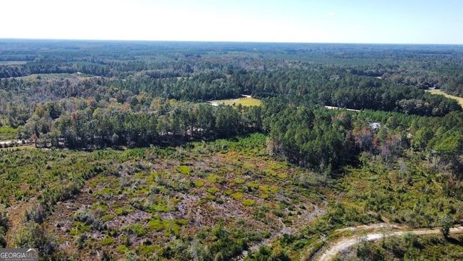 268-ACRES - 99 Old Happy Ln, Home with 0 bedrooms, 0 bathrooms and null parking in Brooklet GA | Image 28