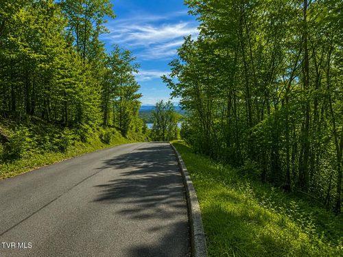 lot-219-7/Ac Pinnacle Pt, Mooresburg, TN, 37811 | Card Image