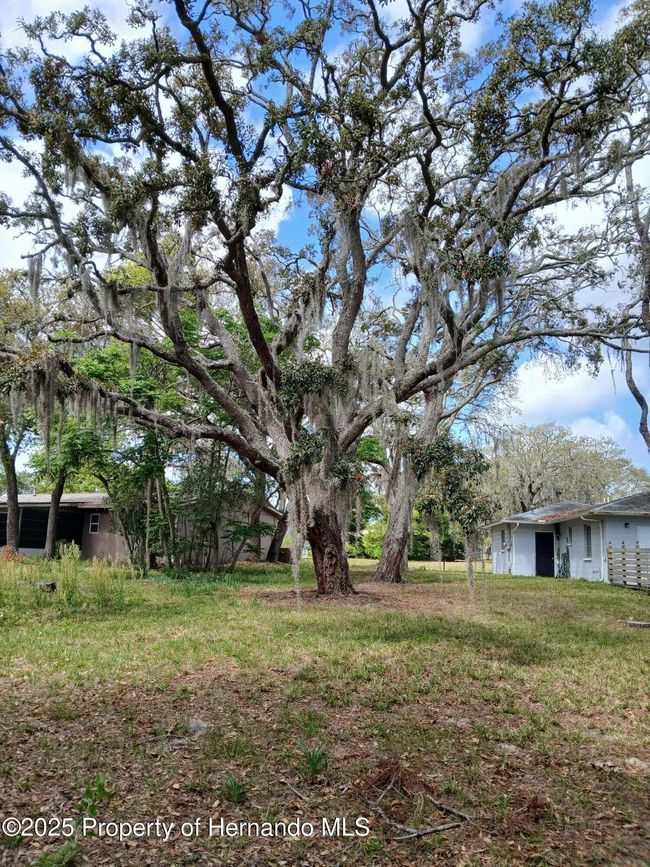 7404 Acorn Cir, House other with 2 bedrooms, 2 bathrooms and null parking in SPRING HILL FL | Image 42
