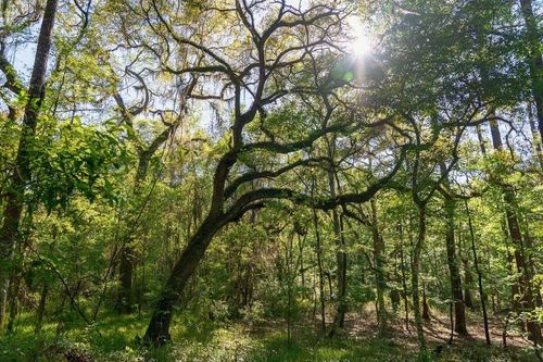 TBD LOT 10 10th Terrace, Live Oak, FL, 32060 | Card Image