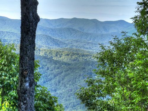 65 Utana Bluff Trails, Ellijay, GA, 30540 | Card Image