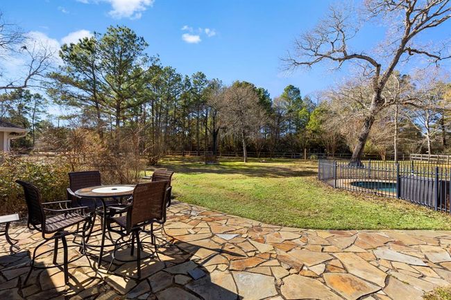 Backyard. | Image 34