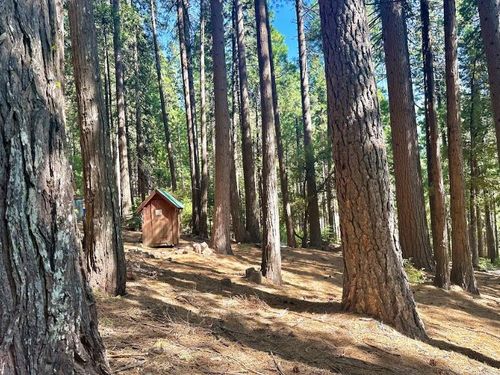 68 Main St, Sierra City, CA, 96125 | Card Image