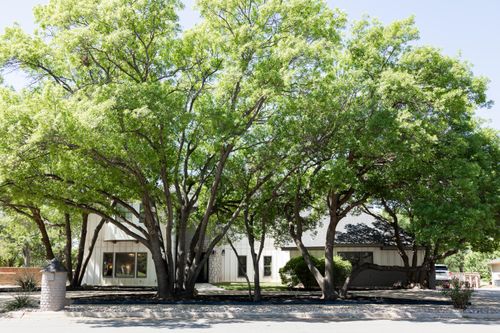 8432 Wayne Avenue, Lubbock, TX, 79424 | Card Image