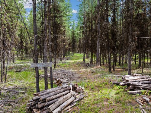 182 New Timber Ridge Trl, Marion, MT, 59925-9508 | Card Image