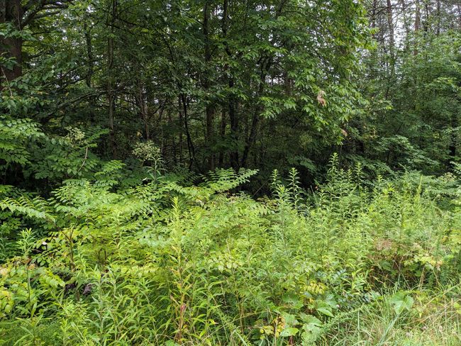 32 Lakeview Dr, Home with 0 bedrooms, 0 bathrooms and null parking in Turtletown TN | Image 7