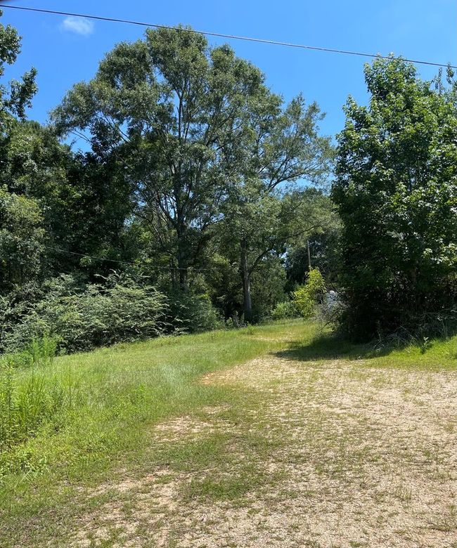 101 Will Thompson Rd, Home with 0 bedrooms, 0 bathrooms and null parking in Picayune MS | Image 7