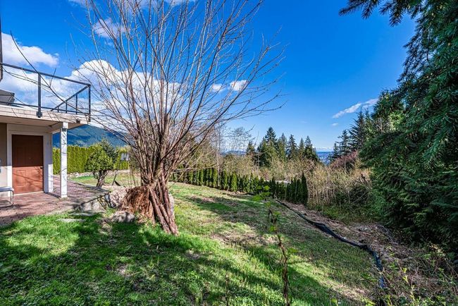 View of yard | Image 40
