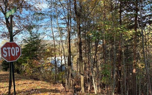 25 Mountain Knoll Ln, Warne, NC, 28909-0070 | Card Image