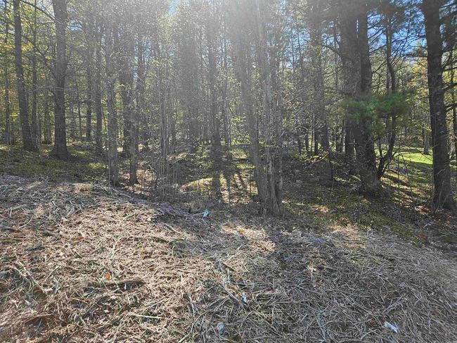 117 Mountain Dr, Home with 0 bedrooms, 0 bathrooms and null parking in Gilford NH | Image 9