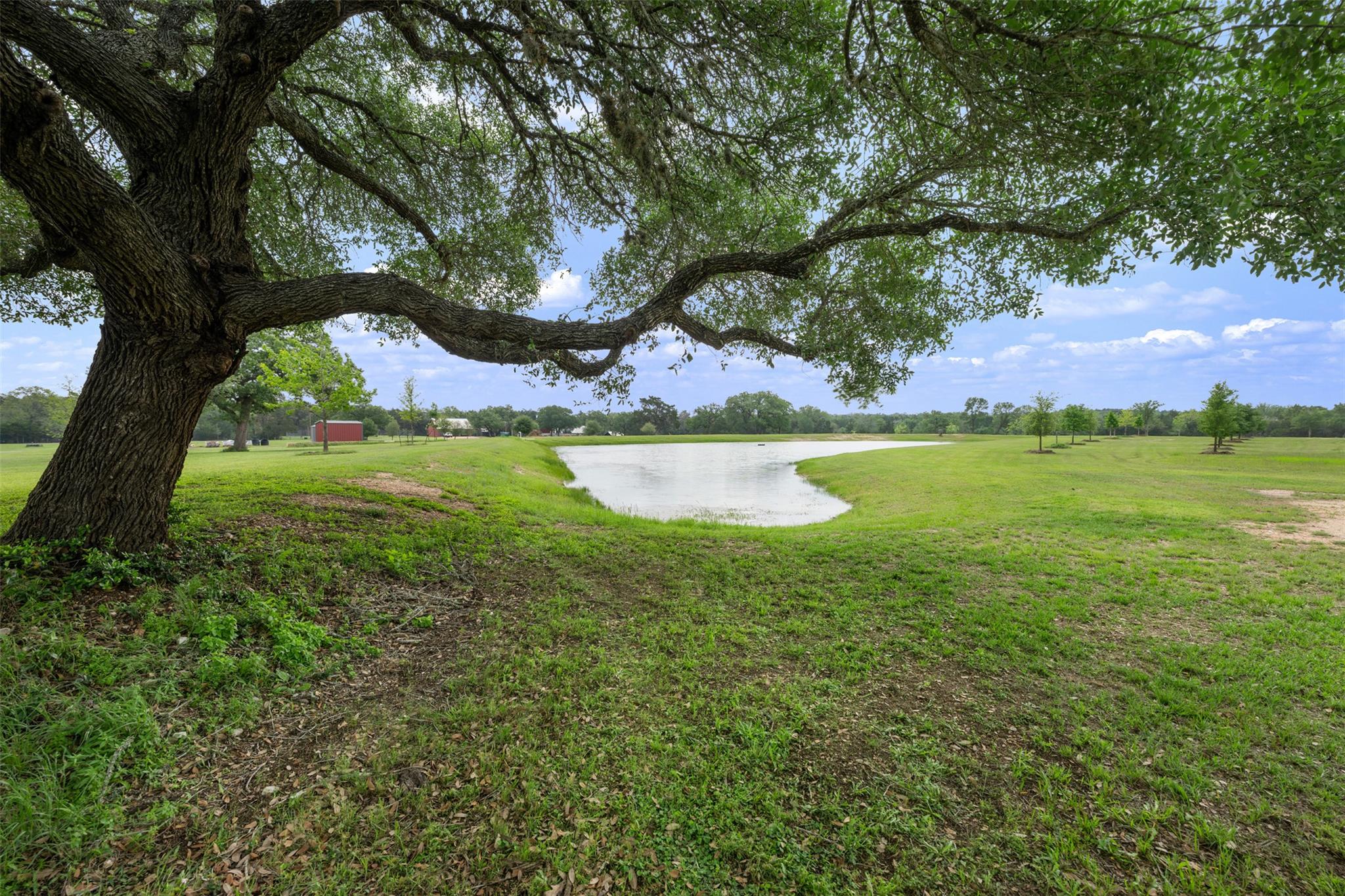 Farm in West Point 4