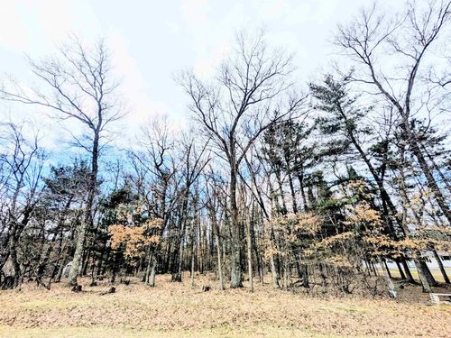 0 11th Ave, Friendship, WI, 53934 | Card Image