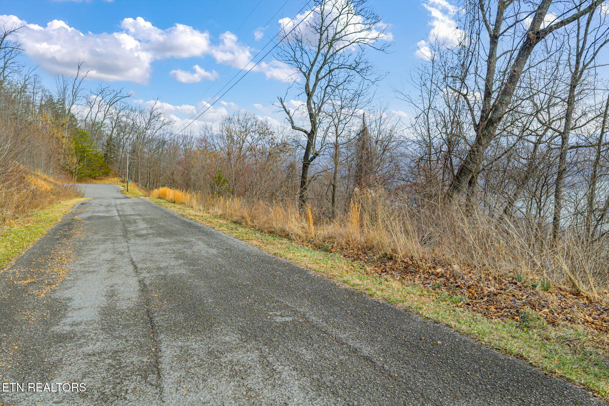 Land in Tazewell 5
