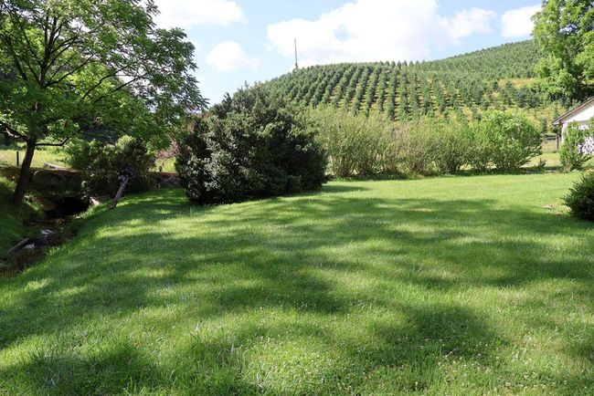 5043 Stones Chapel Rd, House other with 3 bedrooms, 3 bathrooms and 4 parking in Elk Creek VA | Image 35