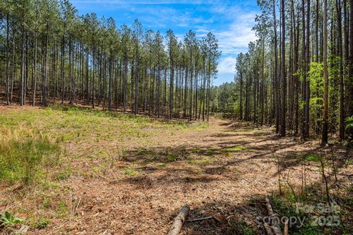 19-19 Sunset Dr, Mill Spring, NC, 28756 | Card Image