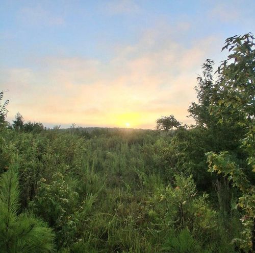 3 Bowie Rd, Troy, SC, 29848 | Card Image