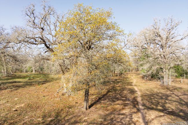 343 Batey Rd, Home with 3 bedrooms, 2 bathrooms and null parking in Nixon TX | Image 27