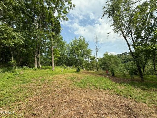 Tr 3 Charles Johnson Rd, Chuckey, TN, 37641 | Card Image
