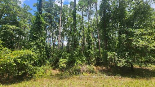 130 Helen Ave, Georgetown, FL, 32139 | Card Image