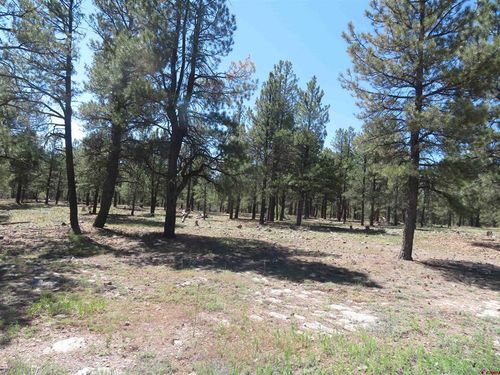 1445 Trails Blvd, Pagosa Springs, CO, 81147 | Card Image