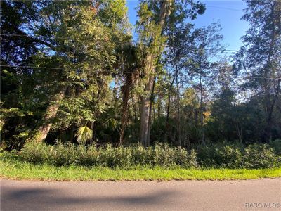 10490 W Main Street, Home with 0 bedrooms, 0 bathrooms and null parking in Homosassa FL | Image 2