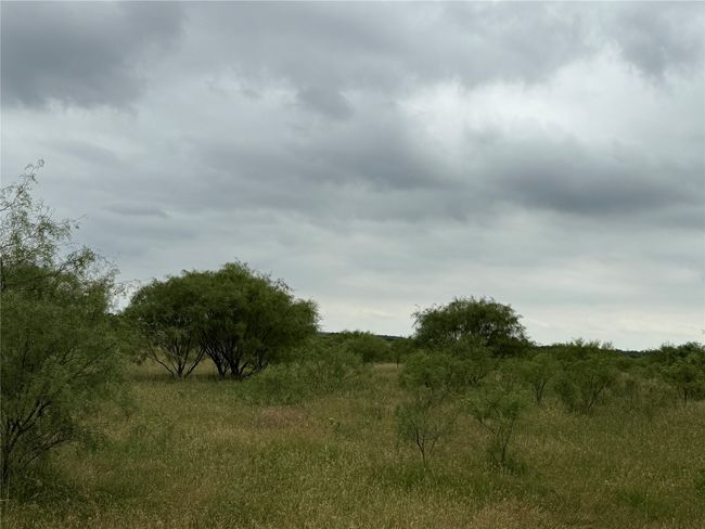 0000 Turtle Hole Rd, Home with 0 bedrooms, 0 bathrooms and null parking in Graham TX | Image 21