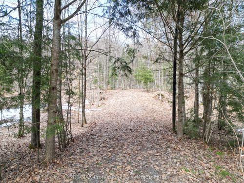 1231 Big Hawk Lake Rd, Algonquin Highlands, ON, K0M1S0 | Card Image