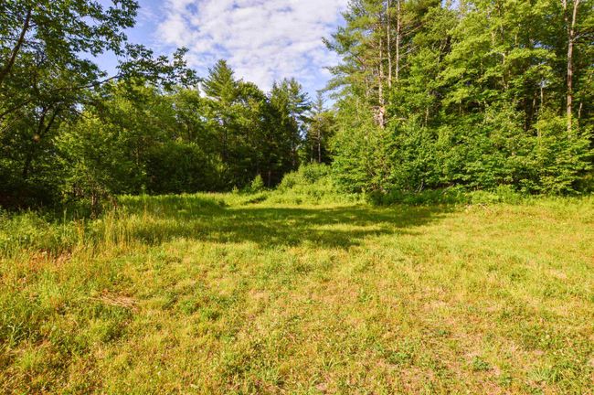 LOT-3 - 00 Vt Route 103 N, Home with 0 bedrooms, 0 bathrooms and null parking in Chester VT | Image 8