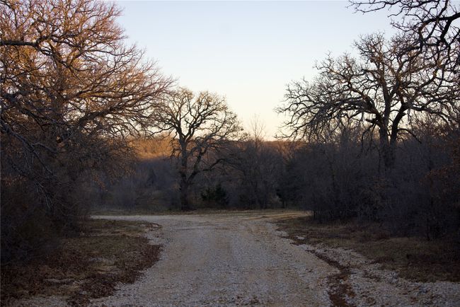 View of street | Image 13