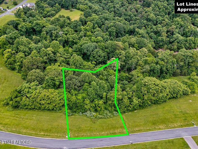 5037 Serenity Dr, Home with 0 bedrooms, 0 bathrooms and null parking in Mooresburg TN | Image 4