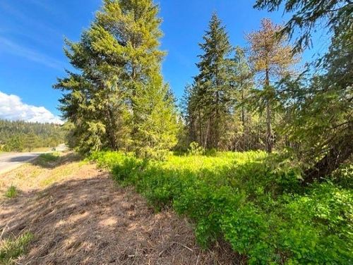 41XX Cemetery Rd, Springdale, WA, 99173 | Card Image