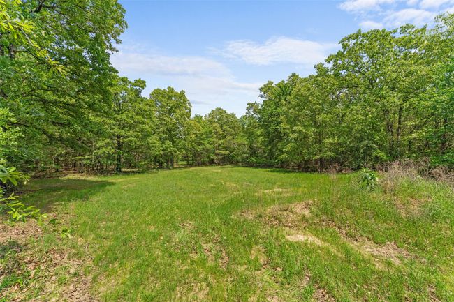 View of nature with a forest view | Image 14