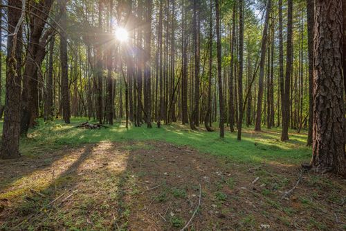 355 Firview Ln, Wilderville, OR, 97543-9033 | Card Image