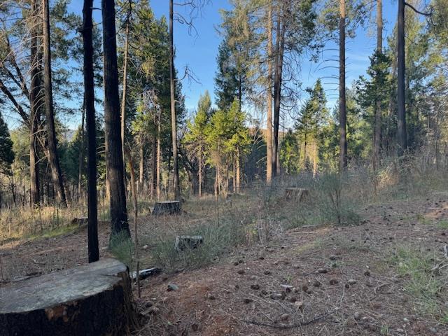 Land in Grizzly Flats 5