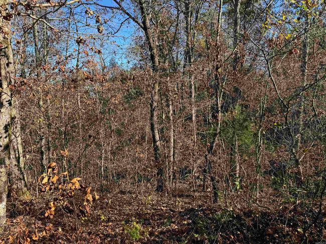 00 Calico Rd, Home with 0 bedrooms, 0 bathrooms and null parking in Clinton AR | Image 33