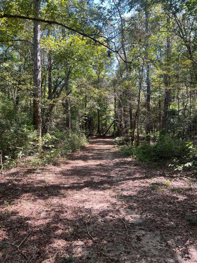 18156 State Highway 87 S, Home with 0 bedrooms, 0 bathrooms and null parking in Call TX | Image 16