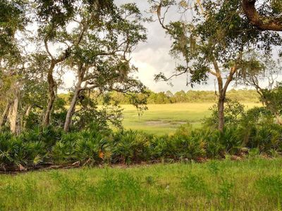 View of Marsh | Image 2