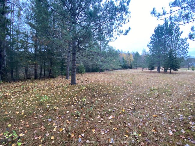 346 Brennans Rd, Home with 0 bedrooms, 0 bathrooms and null parking in Joly ON | Image 26
