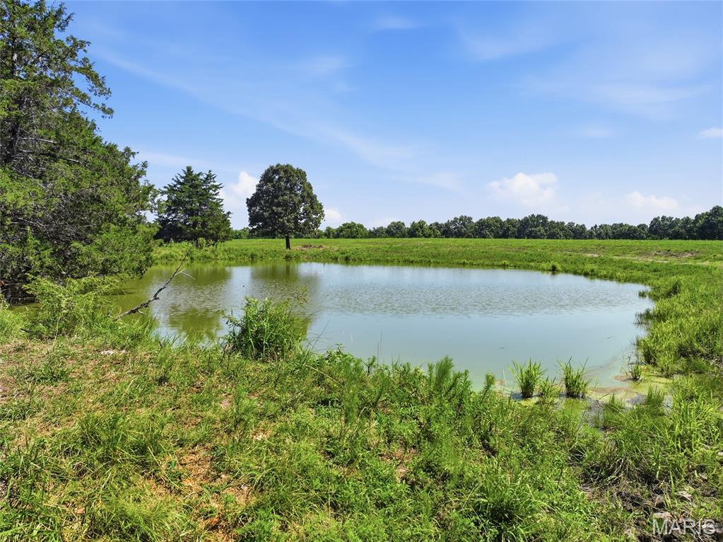 Land in Dixon 4