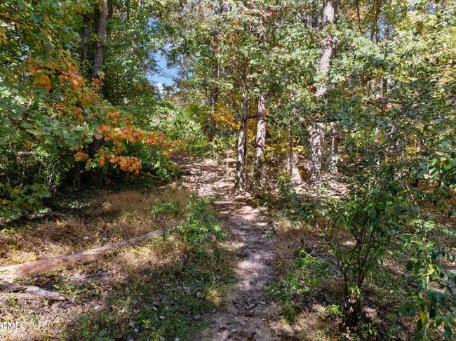 44-web-or-mls-DJI_0782 | Image 38