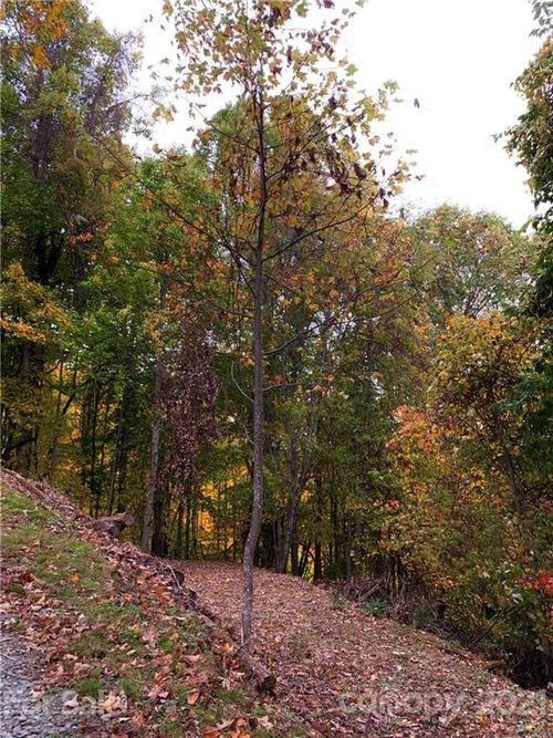 375 Buck Dr, Hot Springs, NC, 28743-6300 | Card Image